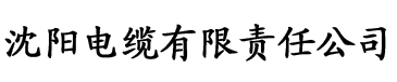 状元的小公主傅怀瑾电缆厂logo